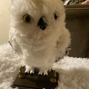Used Owl toy that makes noise